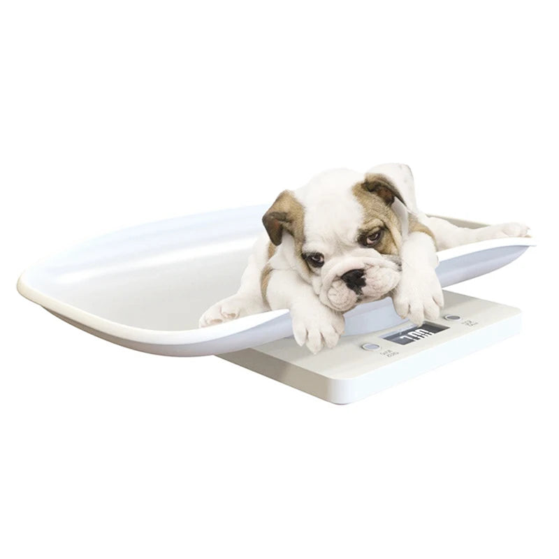 Pet Dog/Cat Electronic Scale LCD Display Pet Hospital/Kitchen Balance 29*18Cm Removable Tray Scales Max Weighing 10KG
