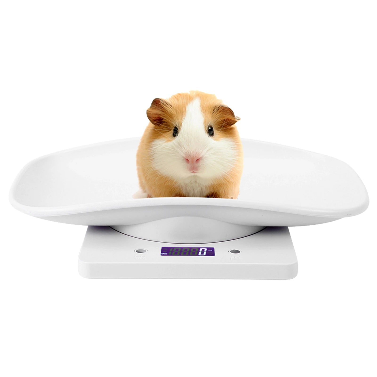 10Kg/1G Digital Small Pet Weight Scale for Cats Dogs Measure Tool Electronic Kitchen Scale Pet Scale Kitchen Scale Digital Scale