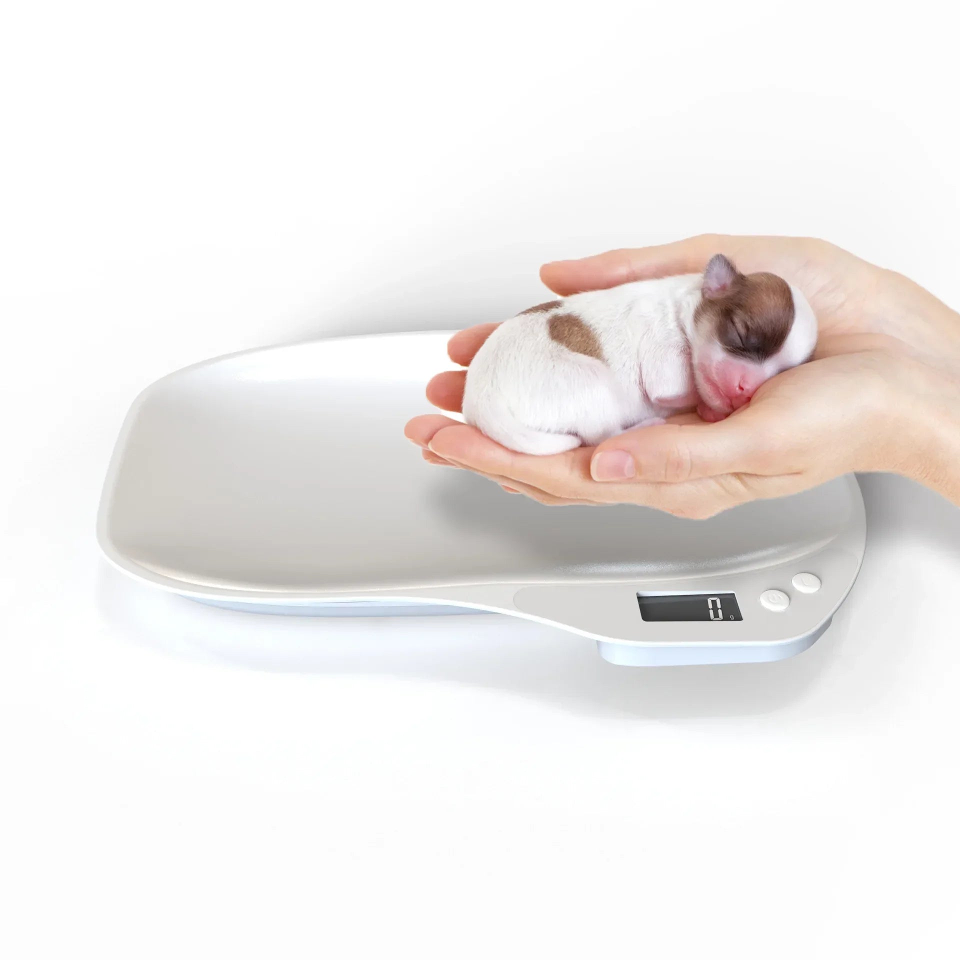Newborn Pet Scale Tray Baking Kitchen Electronic Scale Pet Weigher Animal Cat Dog Weighing Tools