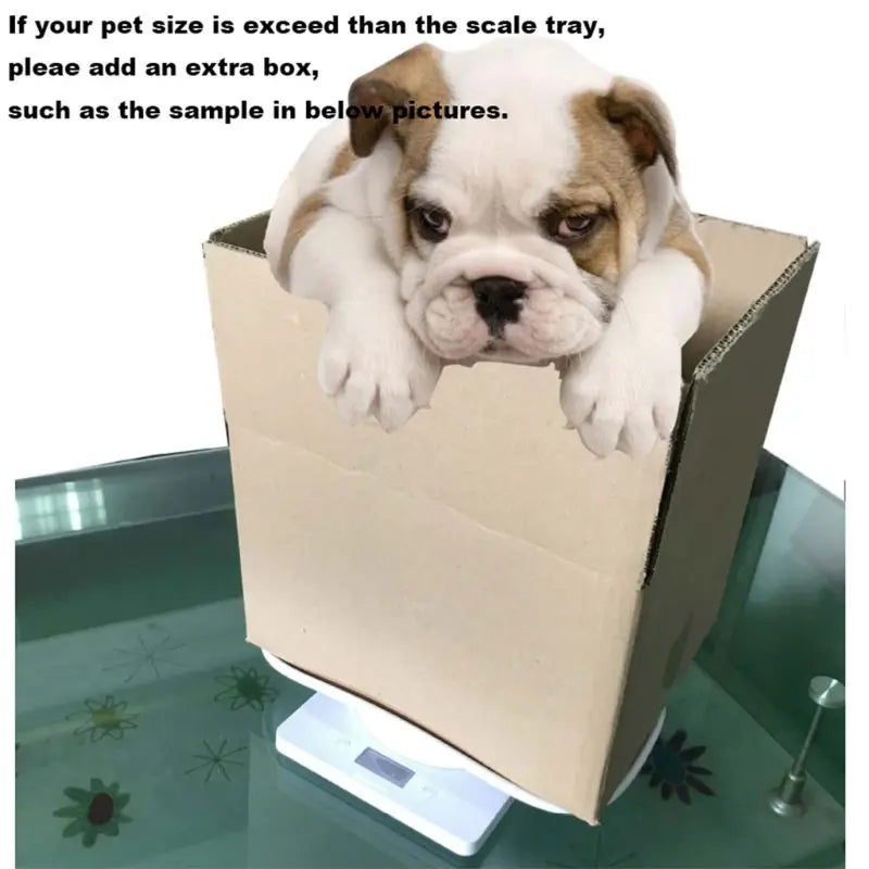 F92C Infant Pet Electronic Scale Weighing Accurately 1G-10Kg KG OZ Unit Exchange