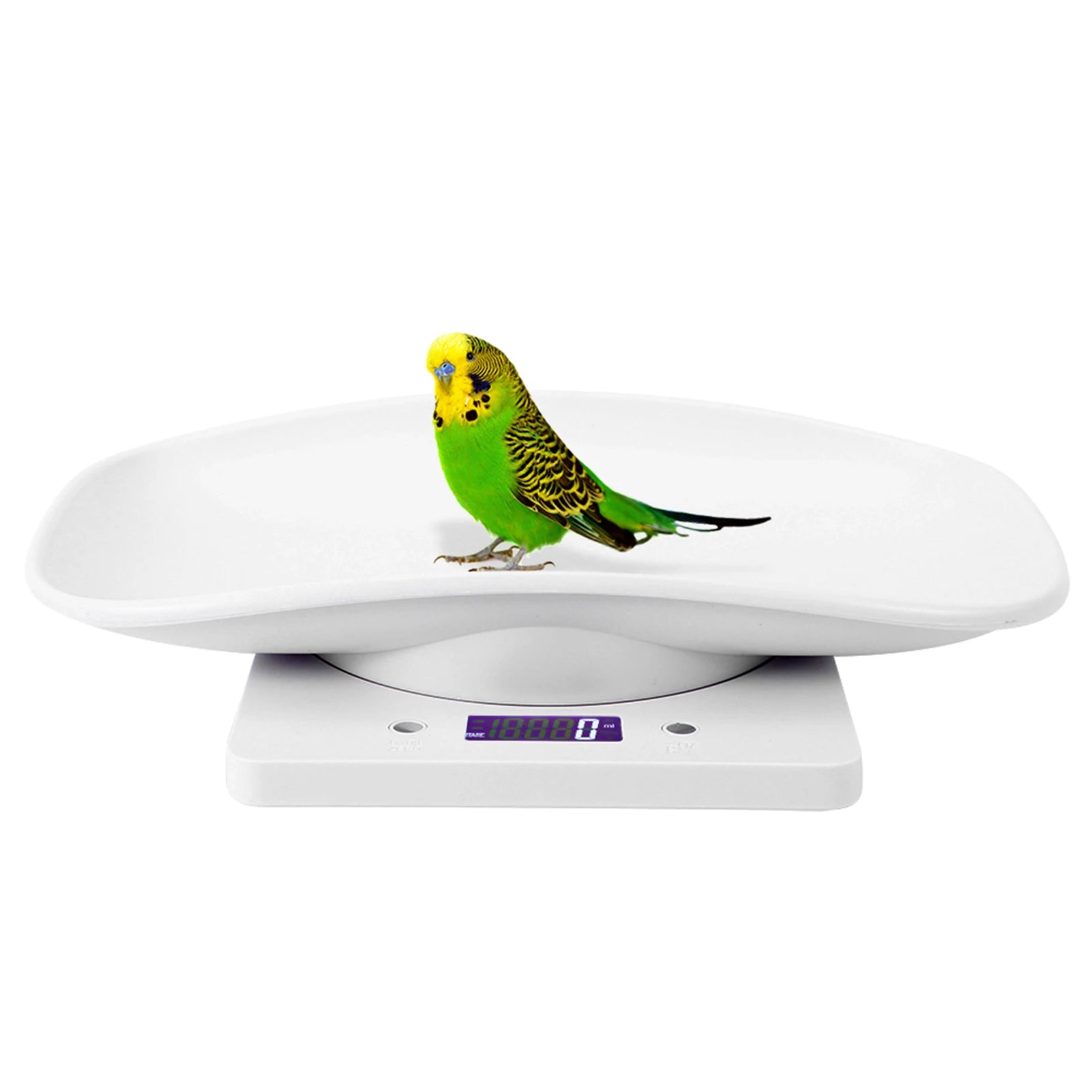 10Kg/1G Digital Small Pet Weight Scale for Cats Dogs Measure Tool Electronic Kitchen Scale Pet Scale Kitchen Scale Digital Scale