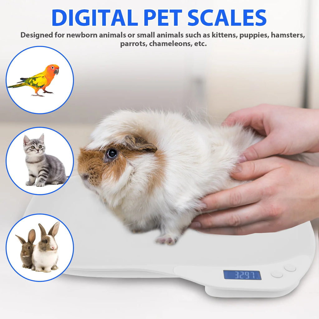 Small Digital Pet Scale Battery Operated LED Display Mini Electronic Pet Weight Scale Electronic Pet Scale Weighing Tool
