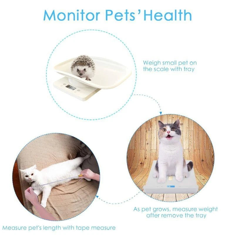New Born Digital Scale Weigh Small Pet Baby 1G-10Kg Multi-Function High for Cat Dog Parrots Hamster Rabbit