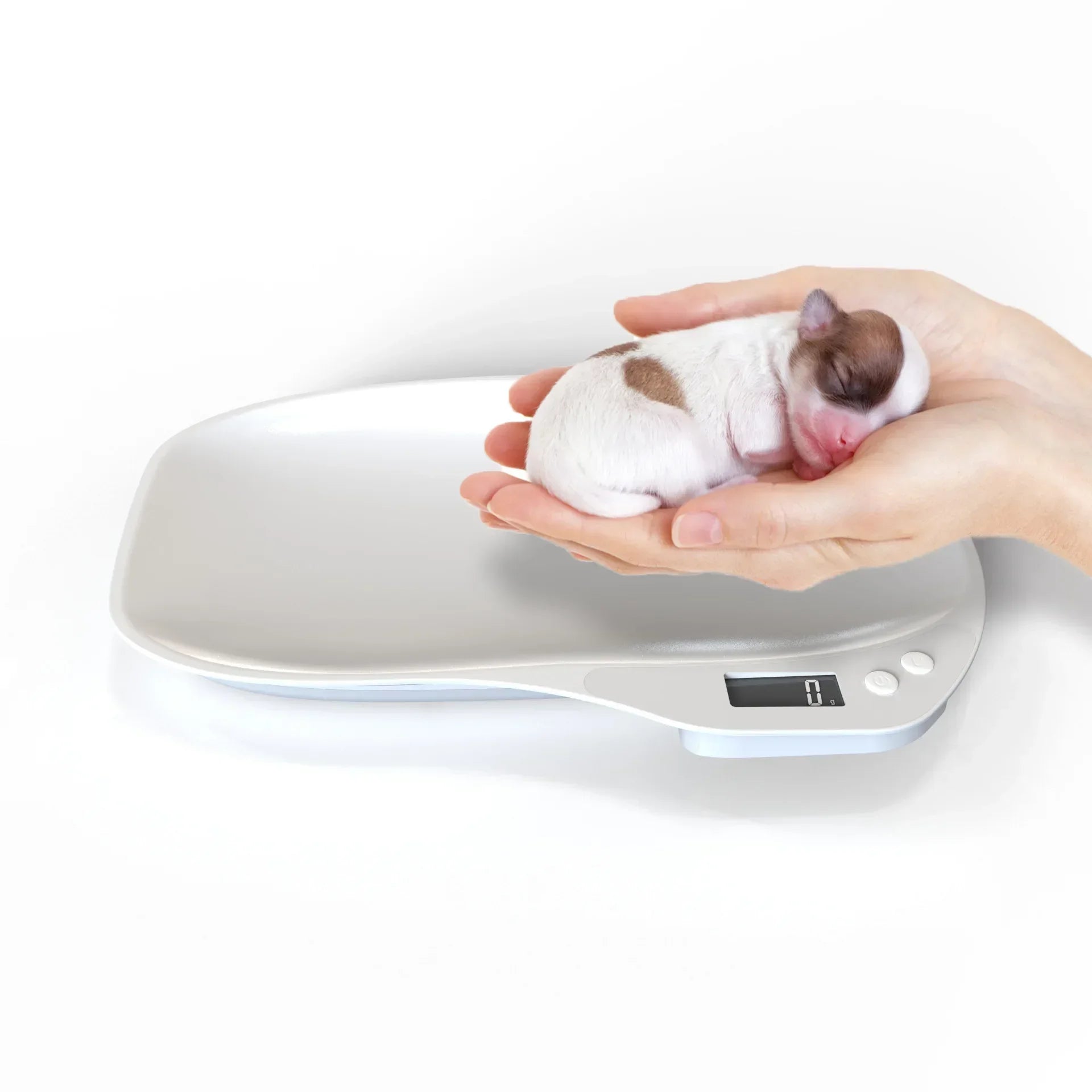 Newborn Pet Scales Tray Baking Kitchen Electronic Scales Pet Weigher Animal Cat Dog Weighing Tools